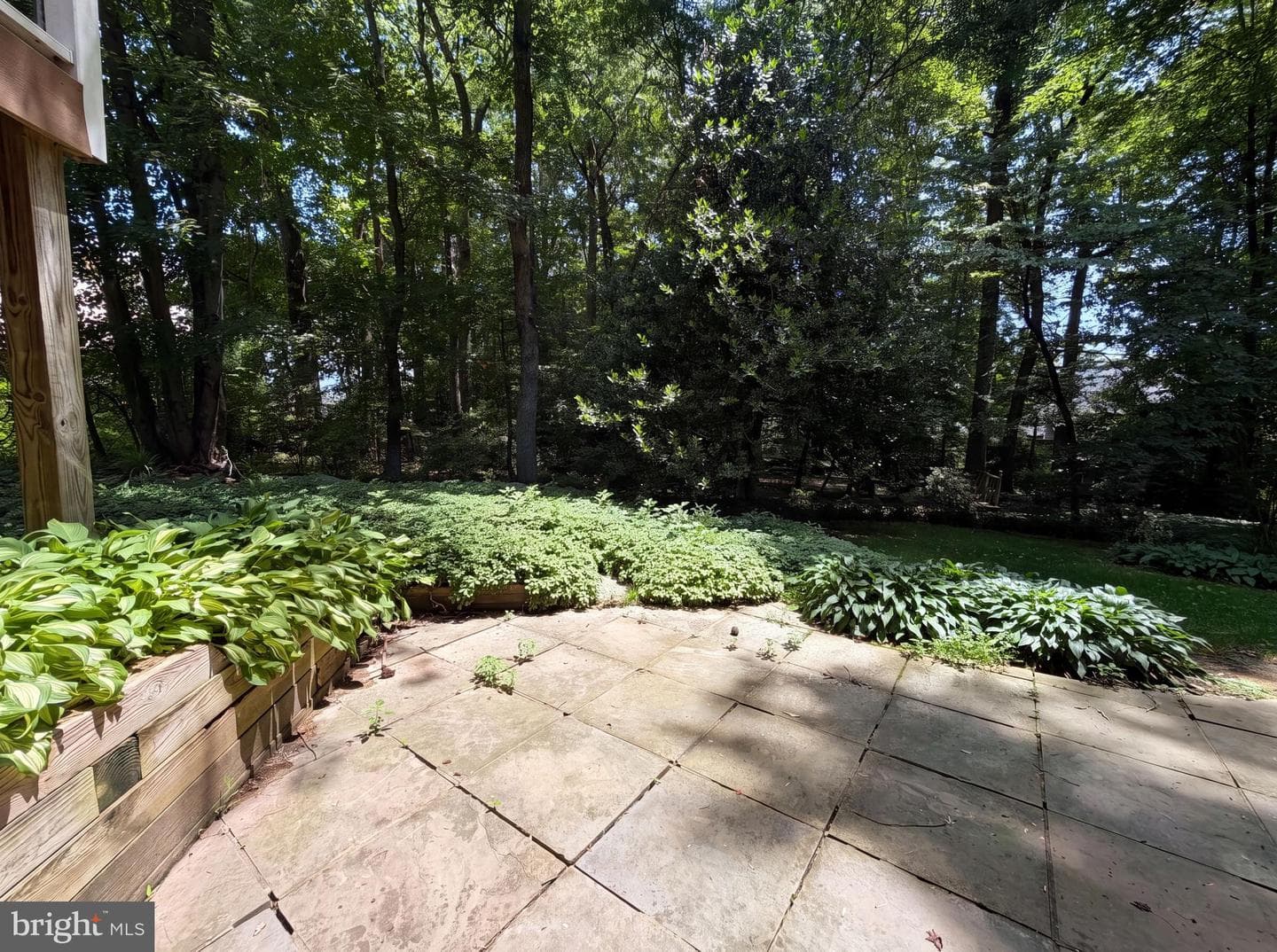 4819 Powell Road photo 53