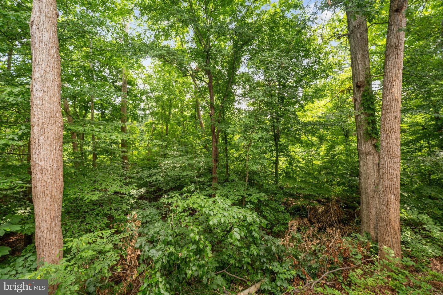 9150 Stonegarden Drive photo 39