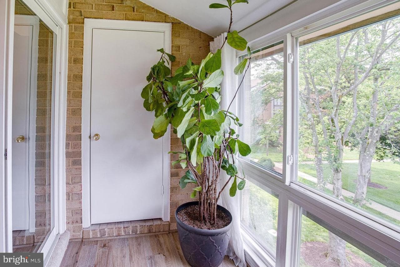 10223 Valentino Drive #7323 photo 11