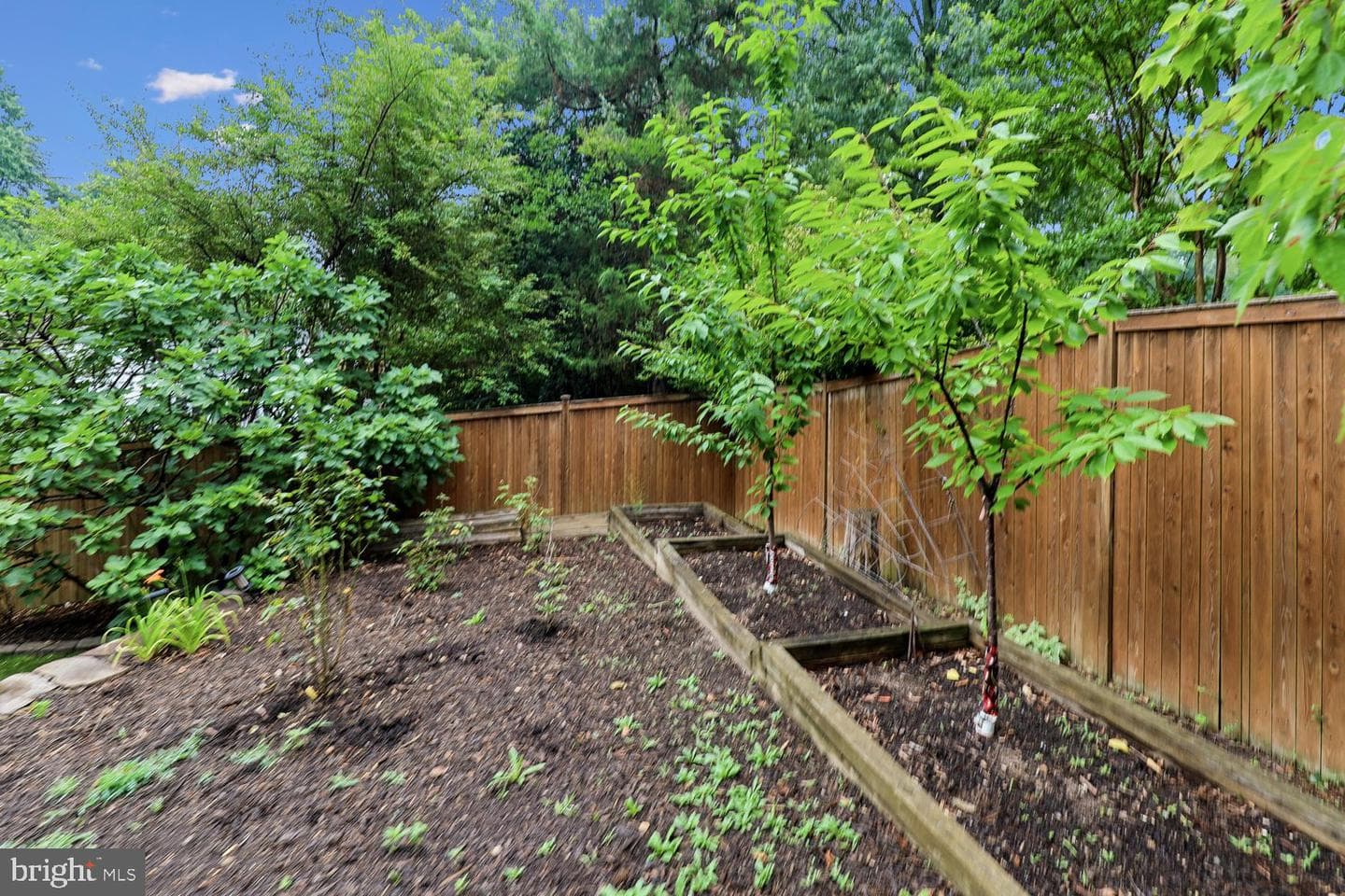 9005 Greylock Street photo 50