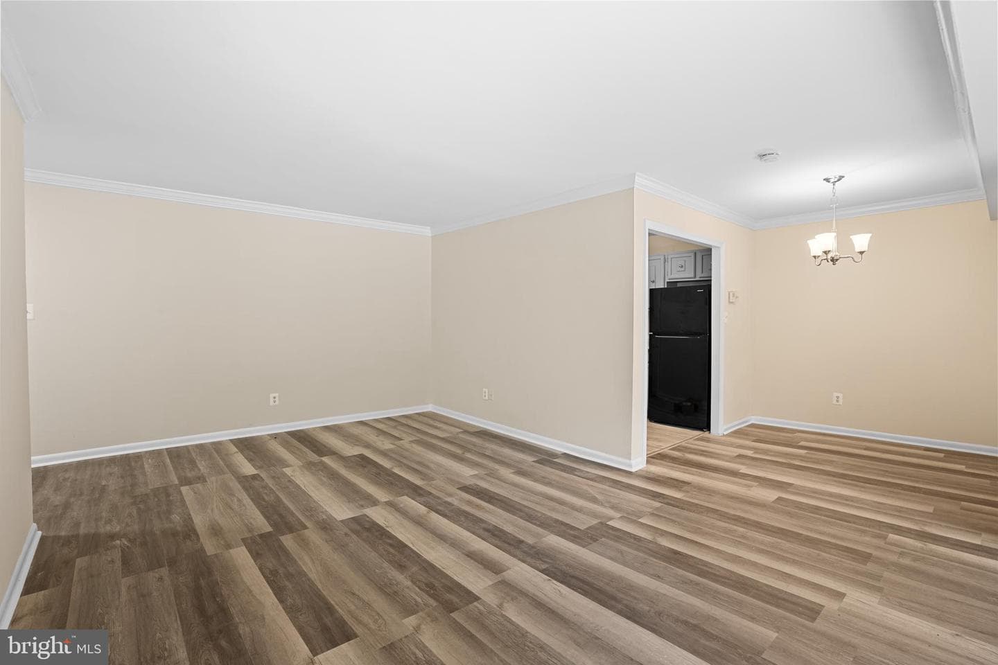 6141 Leesburg Pike #101 photo 13