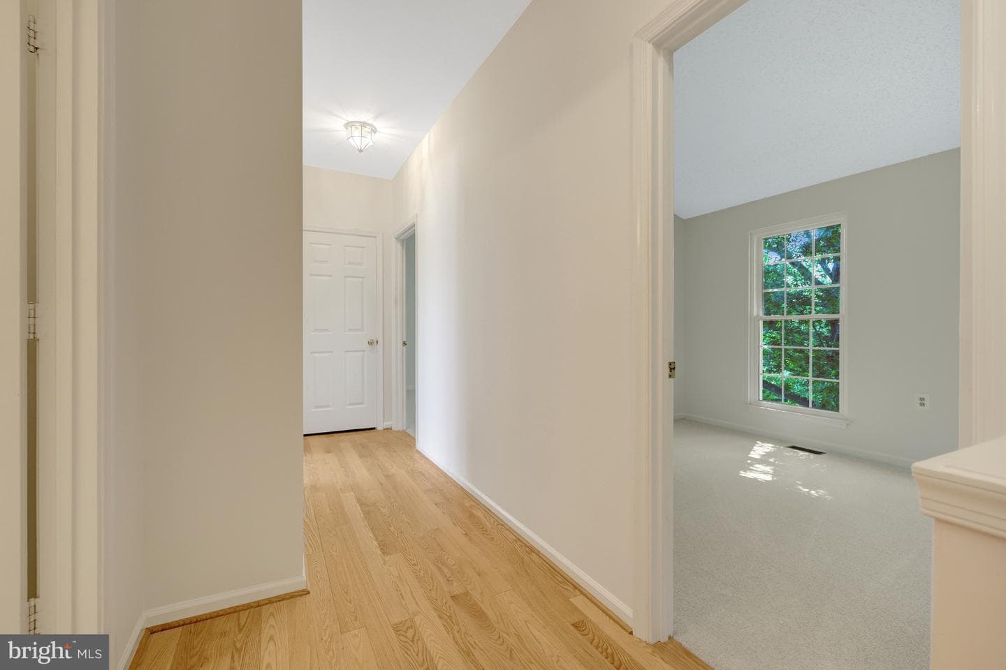 1340 Cassia Street photo 26