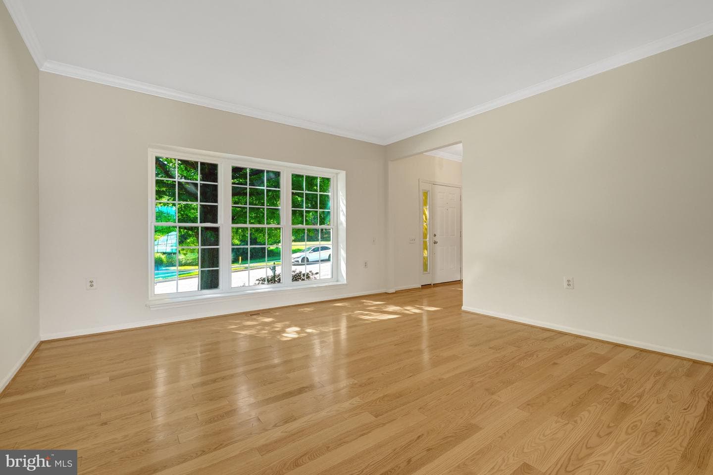 1340 Cassia Street photo 9