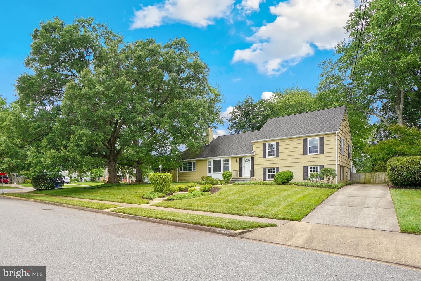 8524 Doter Drive photo 5