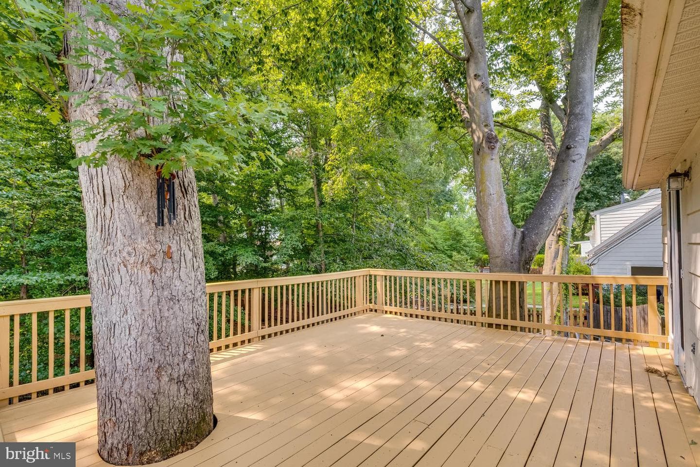 8010 Candlewood Drive photo 34