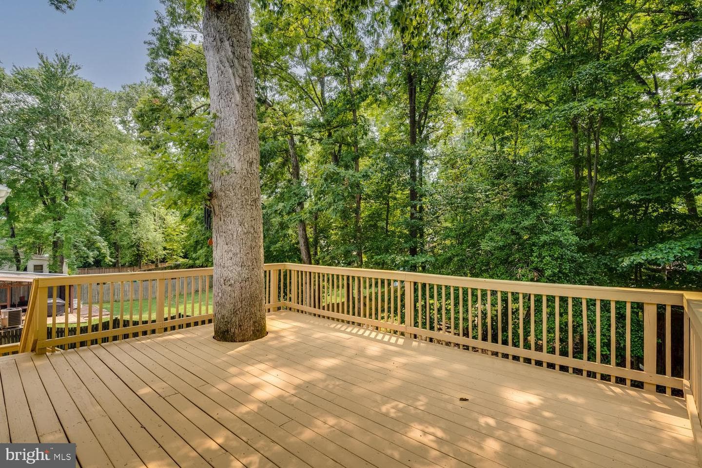 8010 Candlewood Drive photo 35