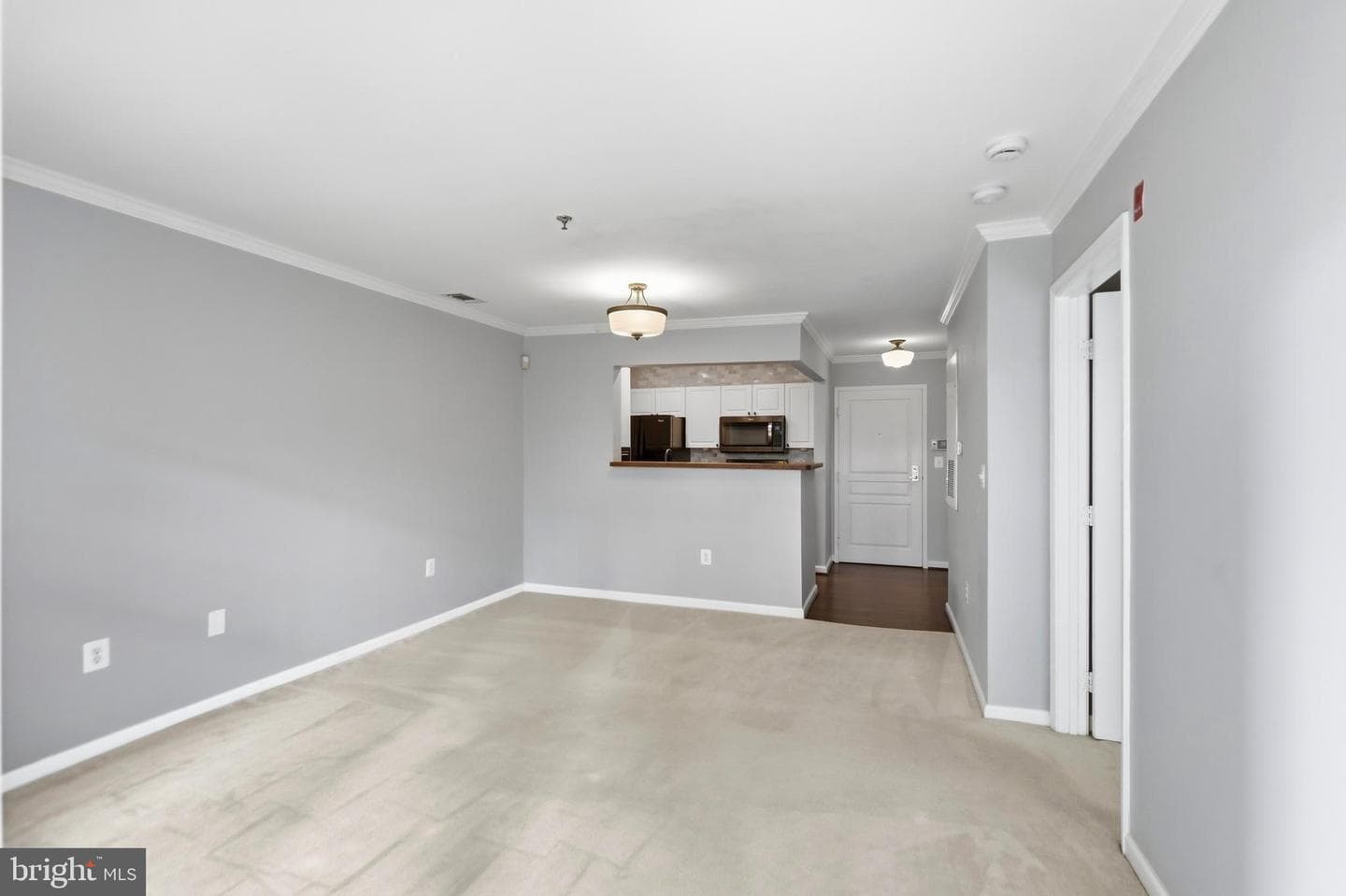 5565 Seminary Road #314 photo 9