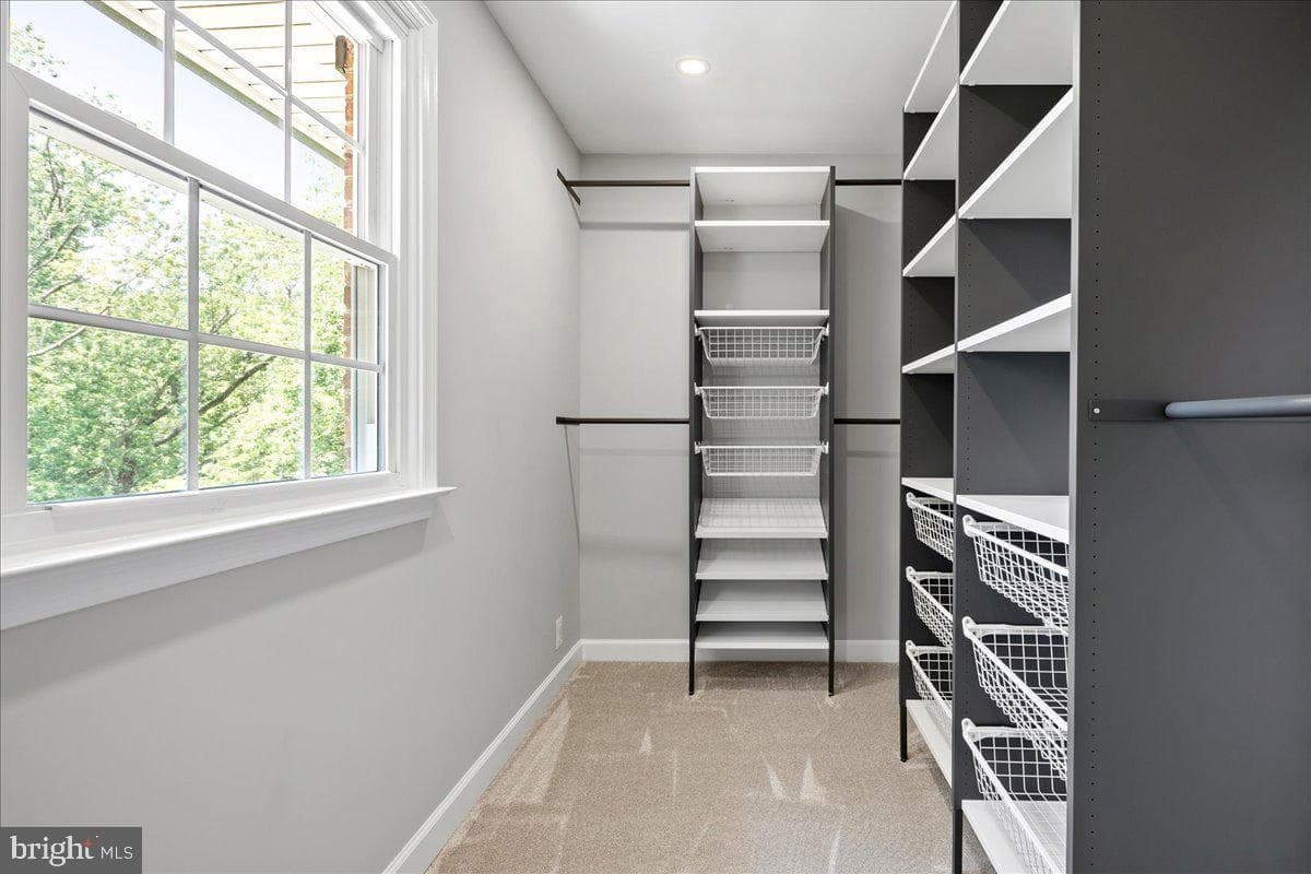 353 Gallop Wood Place photo 68