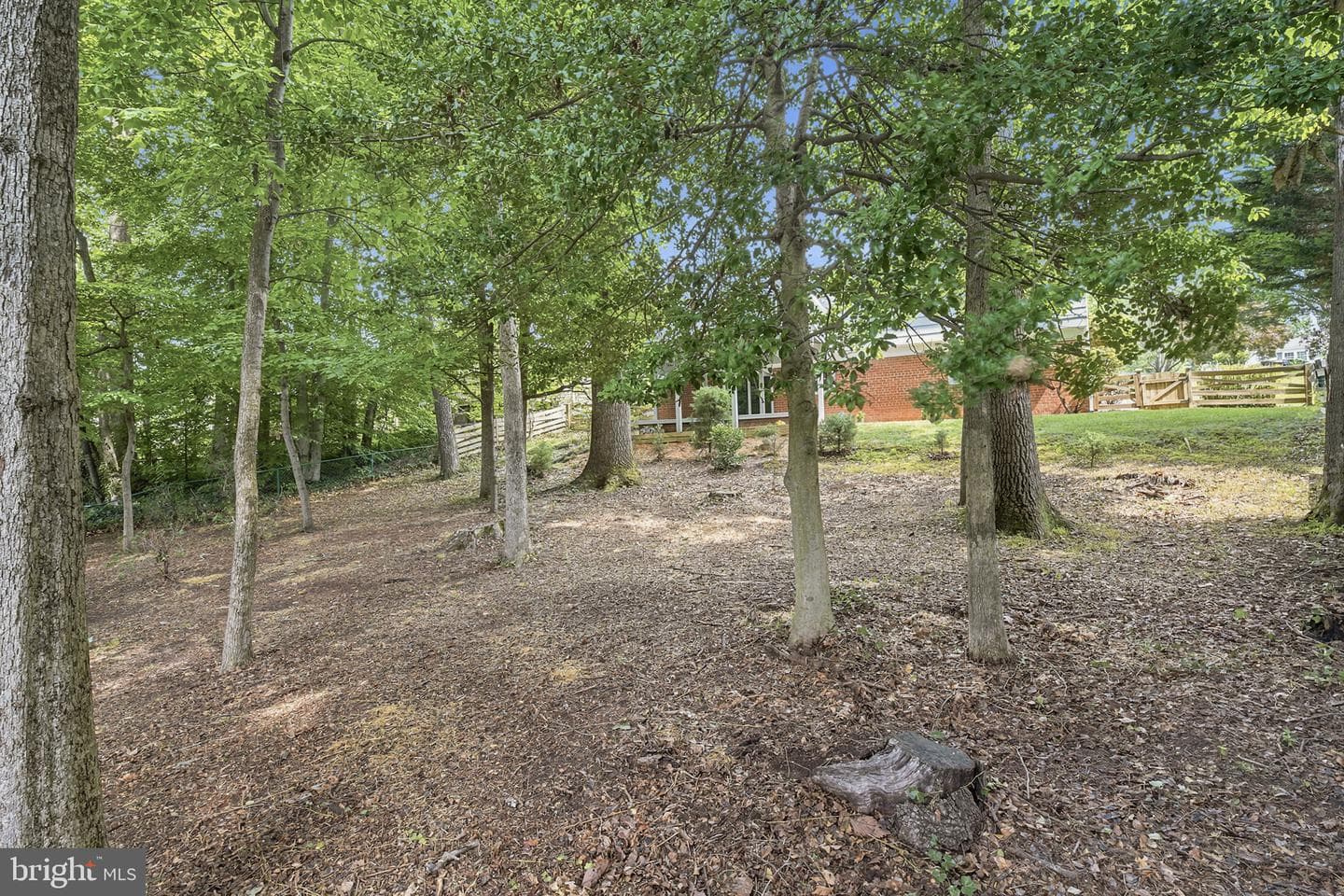 6922 Sydenstricker Road photo 62