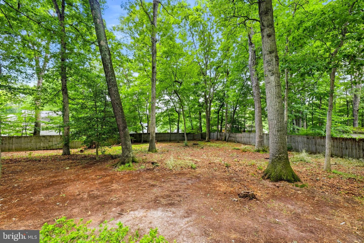 9811 Vertain Court photo 63
