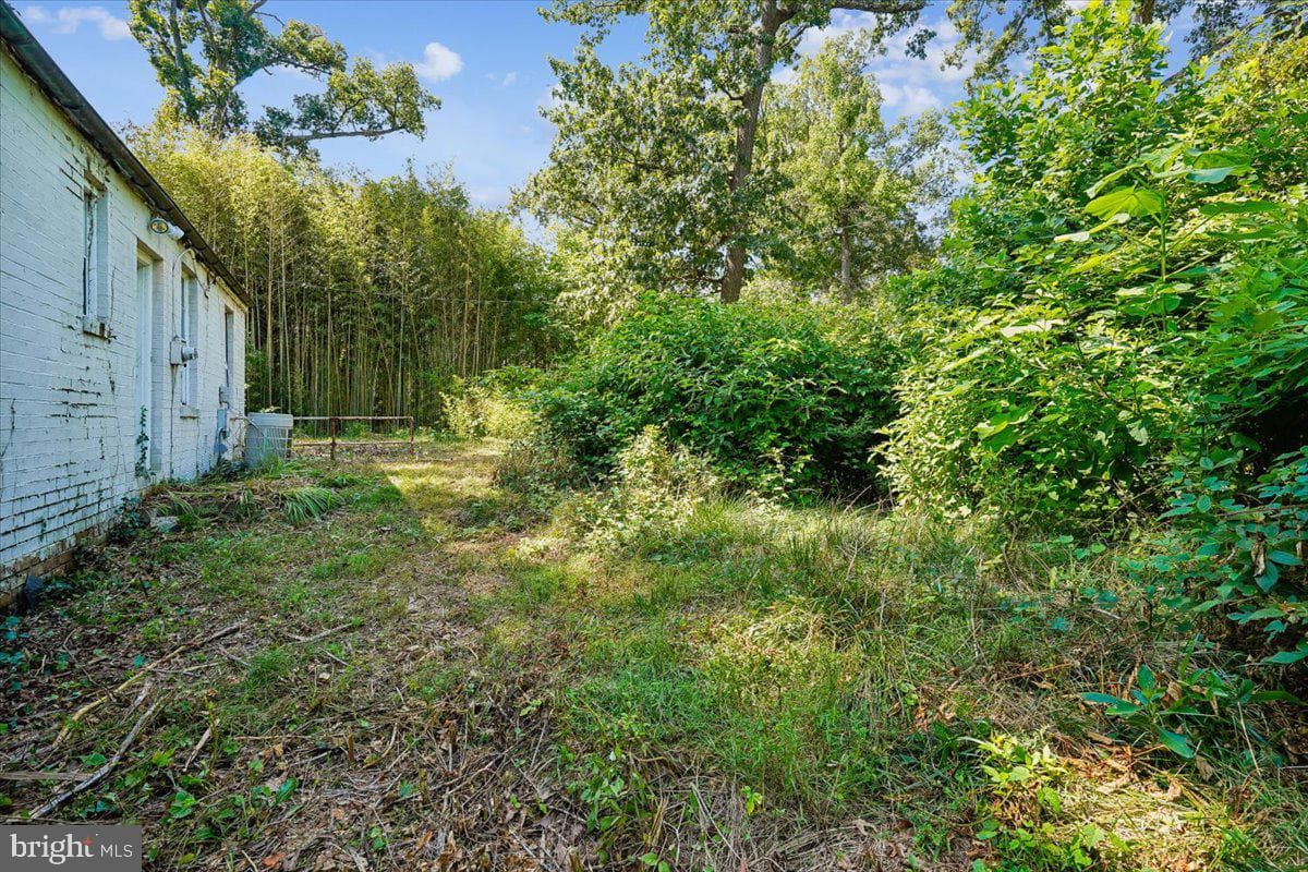 1208 Shenandoah Road photo 19