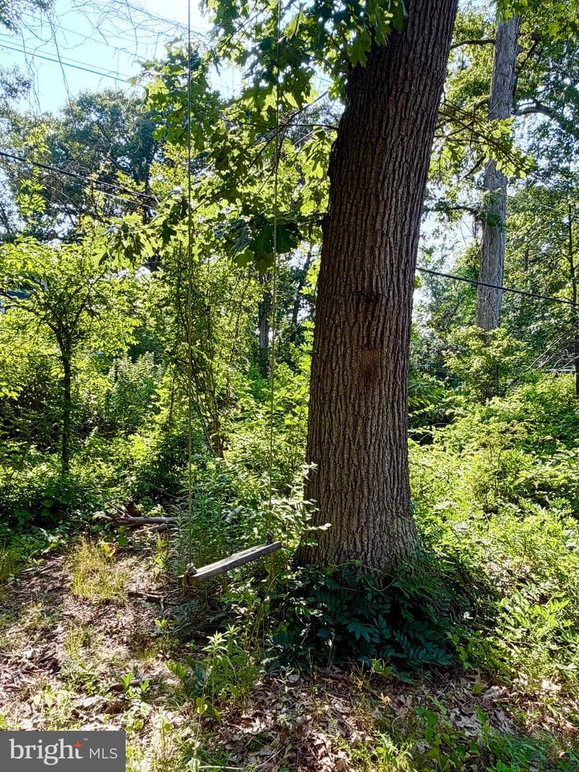 1208 Shenandoah Road photo 27