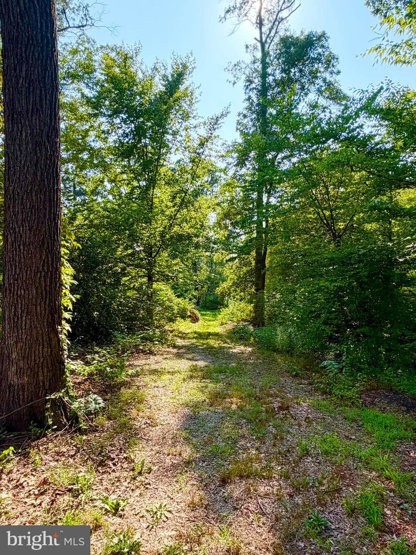 1208 Shenandoah Road photo 28