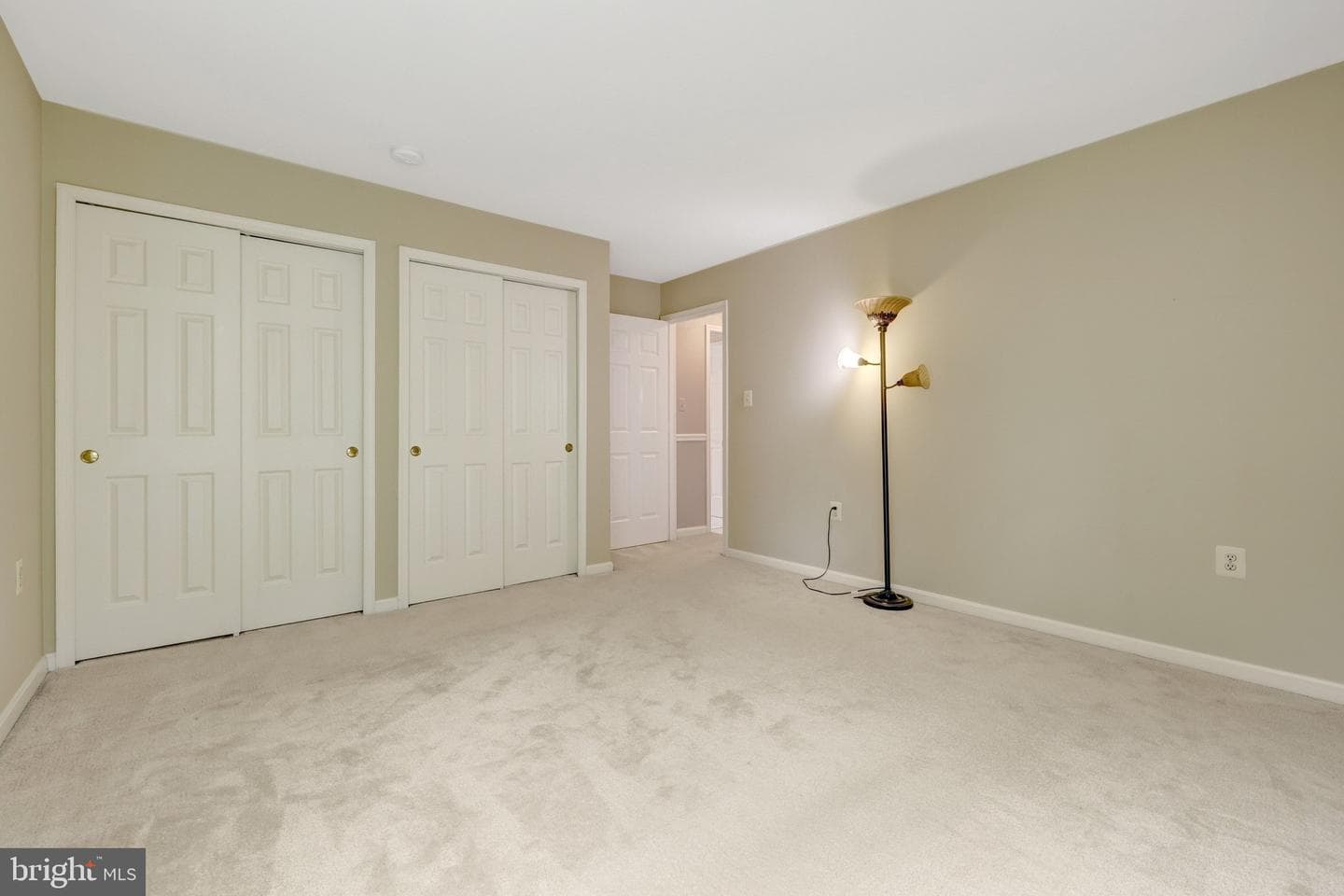 1502 Snowflake Court photo 49