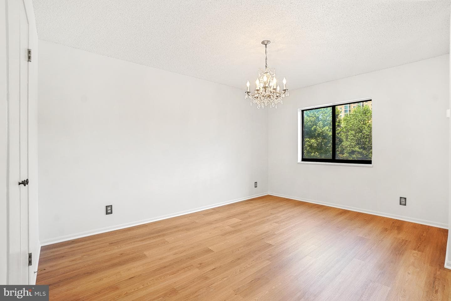 5902 Mount Eagle Drive #315 photo 9