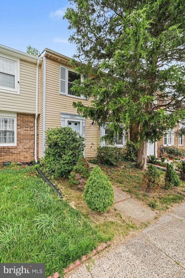8371 Brockham Drive photo 4
