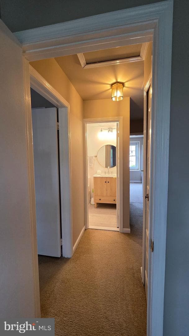 9529 Cherry Oak Court photo 15