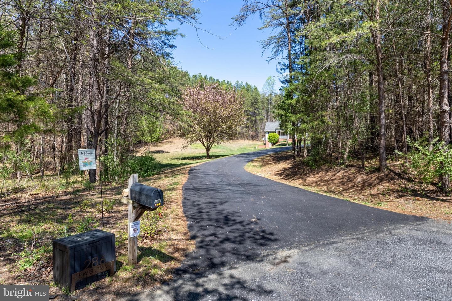 286 Lewis Drive photo 2