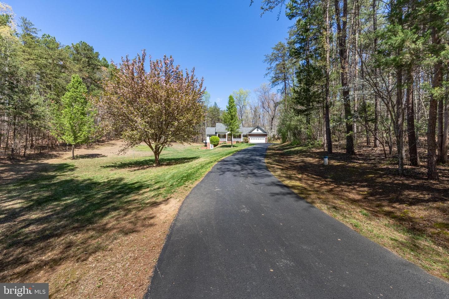 286 Lewis Drive photo 63
