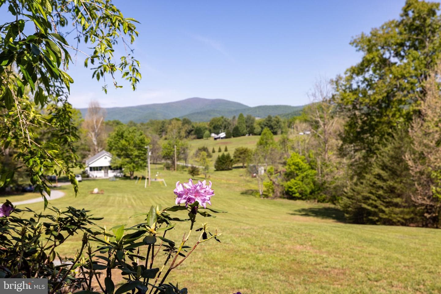246 Lawsons Farm Circle photo 81