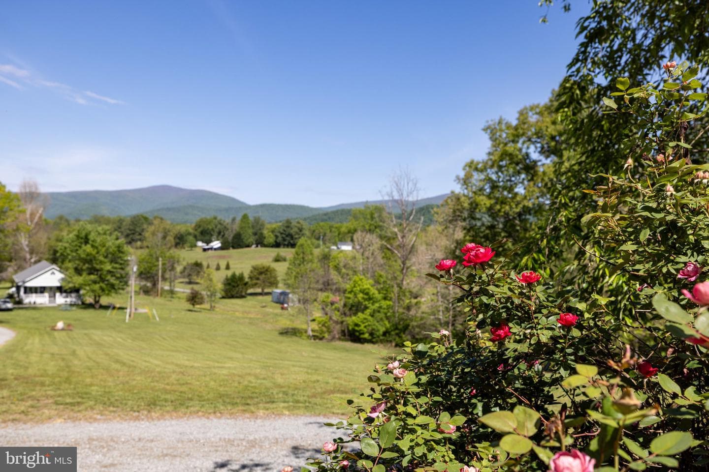 246 Lawsons Farm Circle photo 82