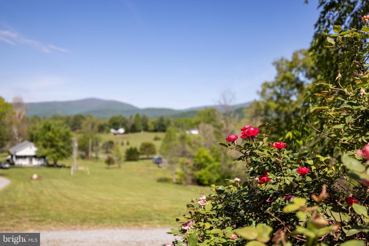 246 Lawsons Farm Circle photo 83