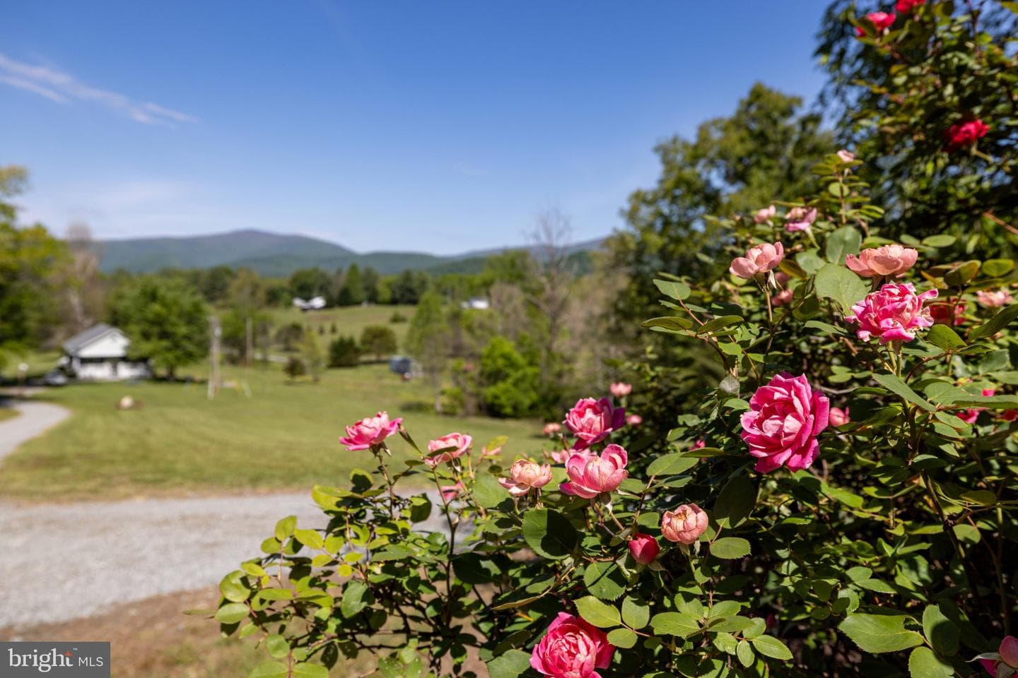 246 Lawsons Farm Circle photo 84