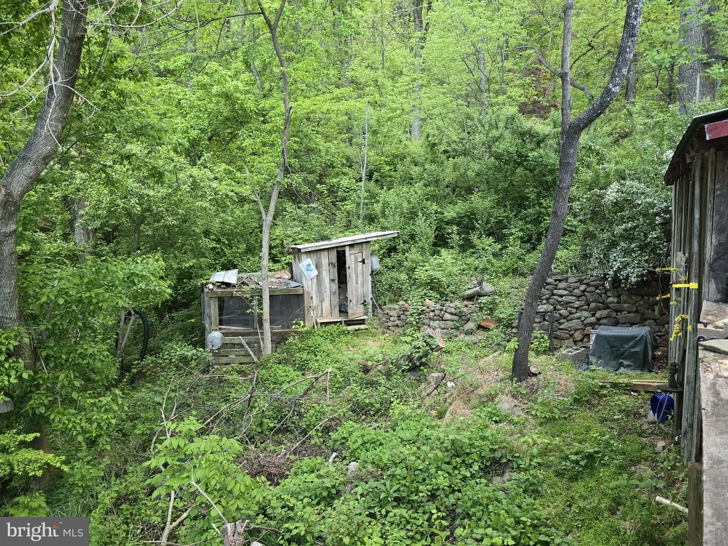 446 Spring Drive photo 20