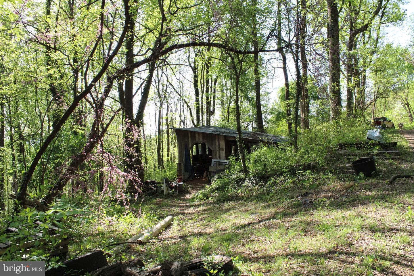 446 Spring Drive photo 27