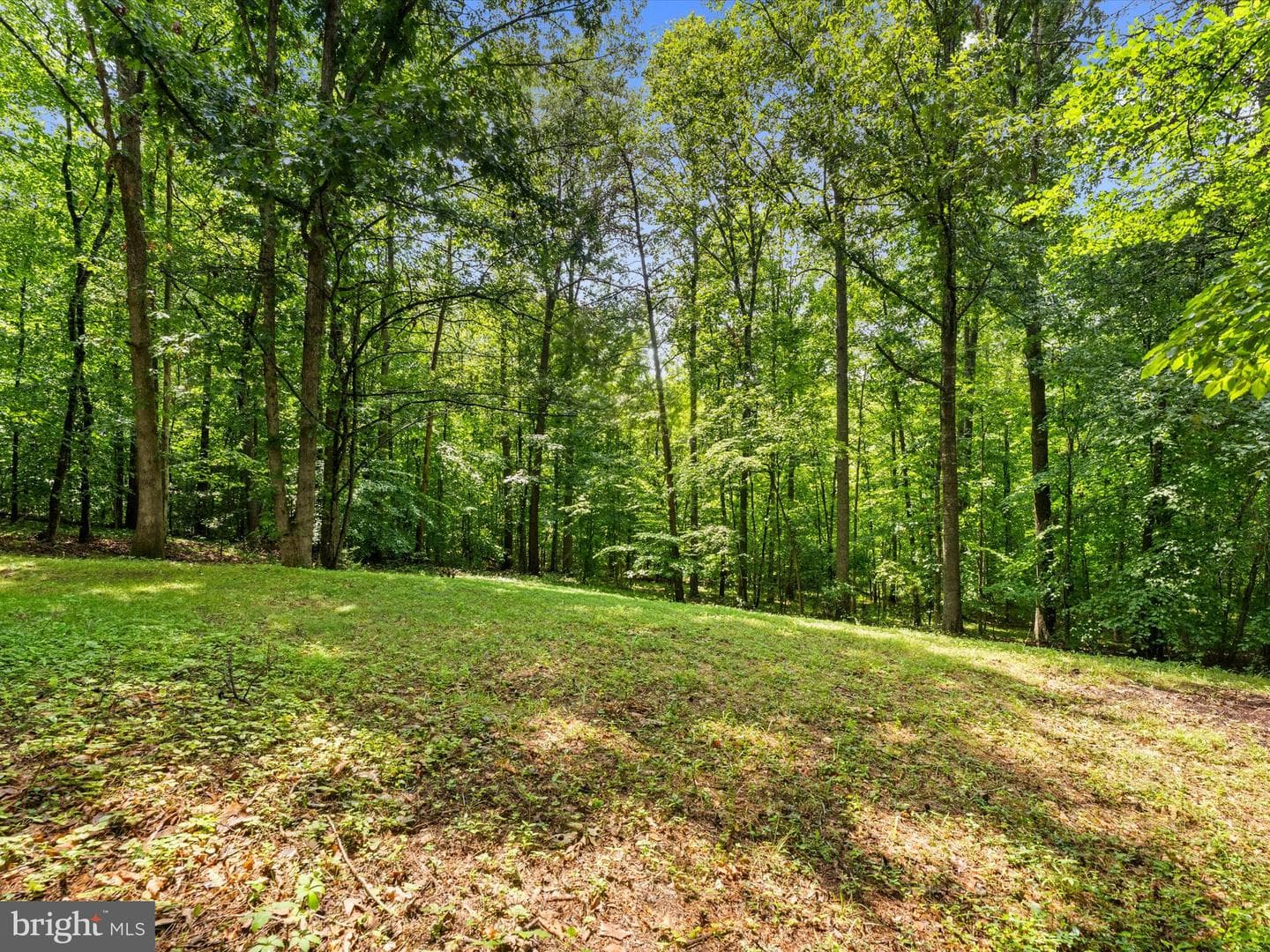 93 W Cedar Drive photo 55