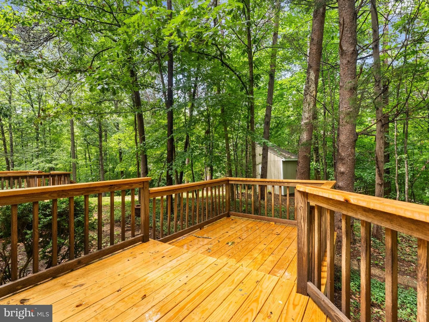 93 W Cedar Drive photo 56