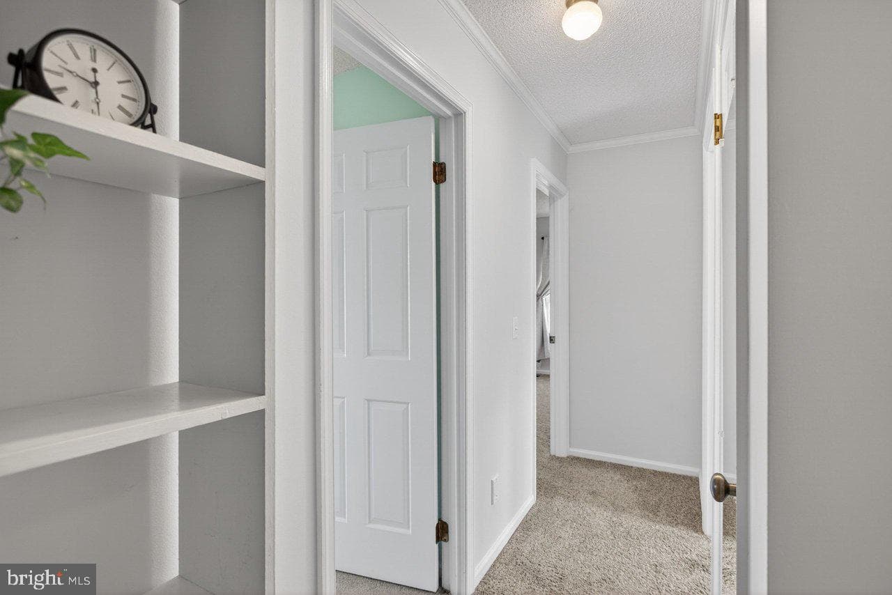 25 Emery Street photo 34
