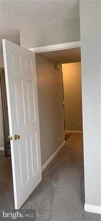 1384 Hunters Road #E photo 6