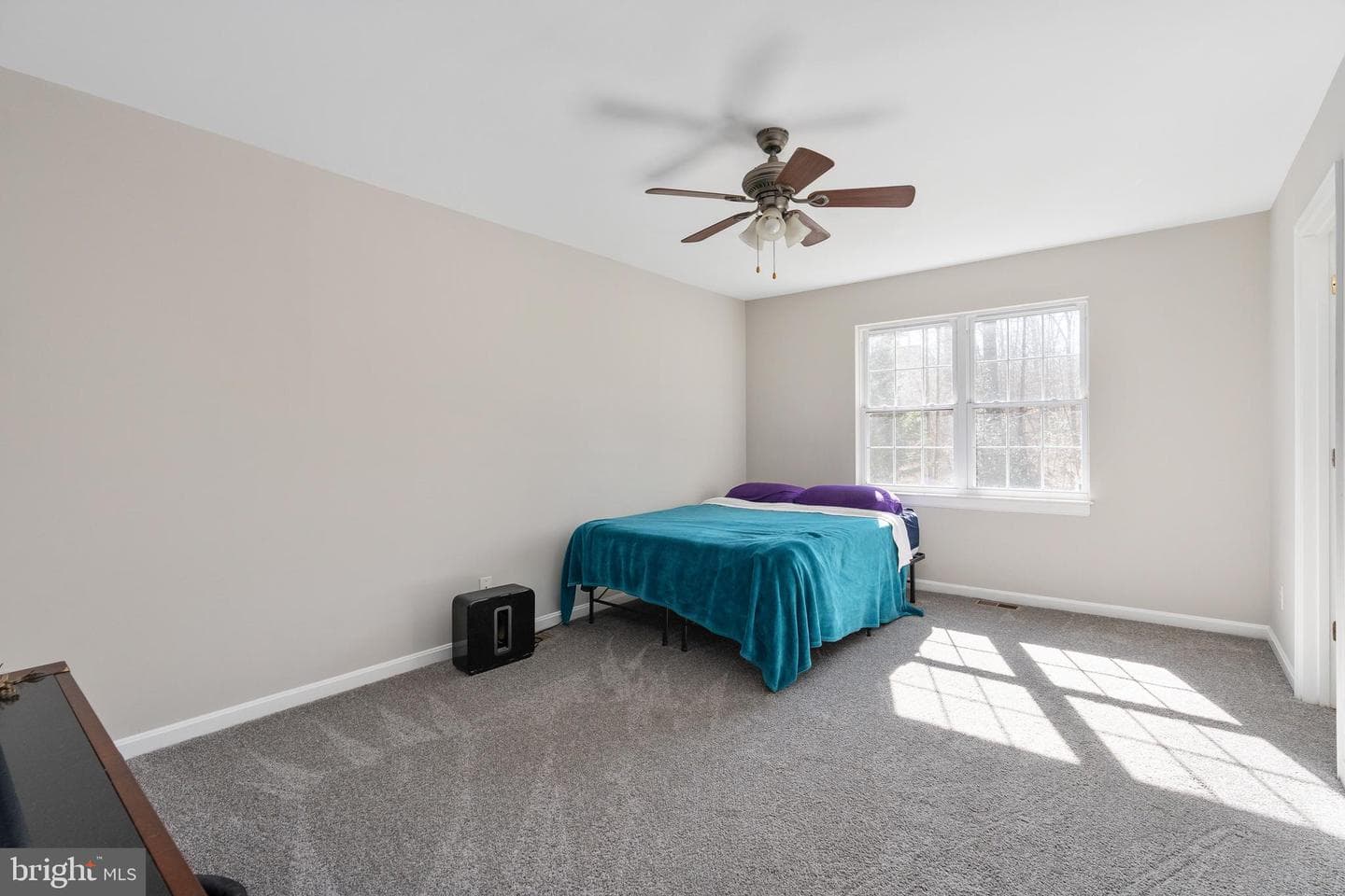 6206 Dawes Drive photo 23