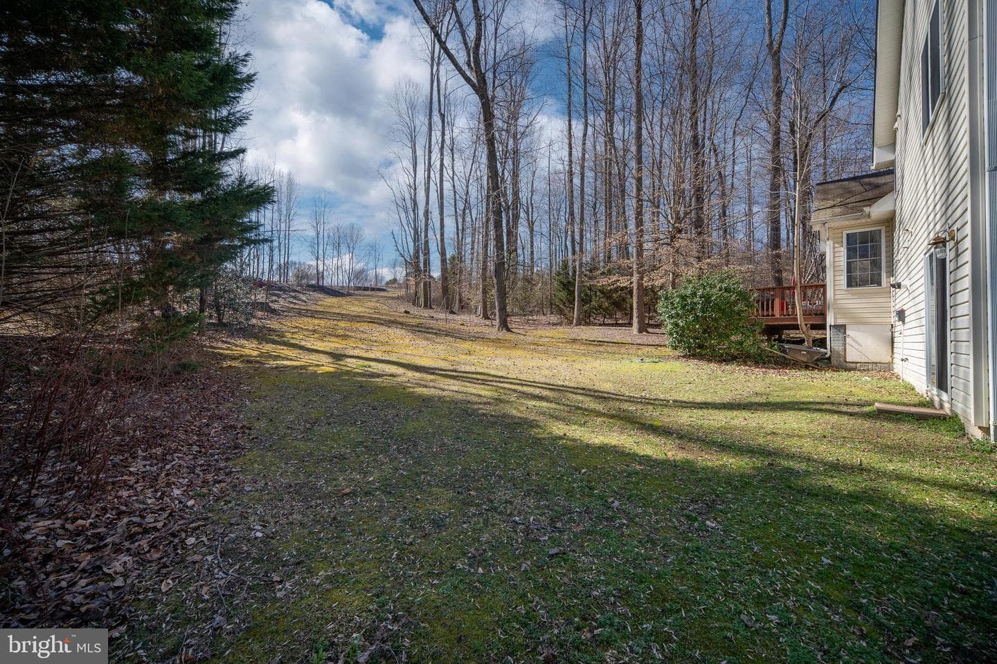 6206 Dawes Drive photo 37