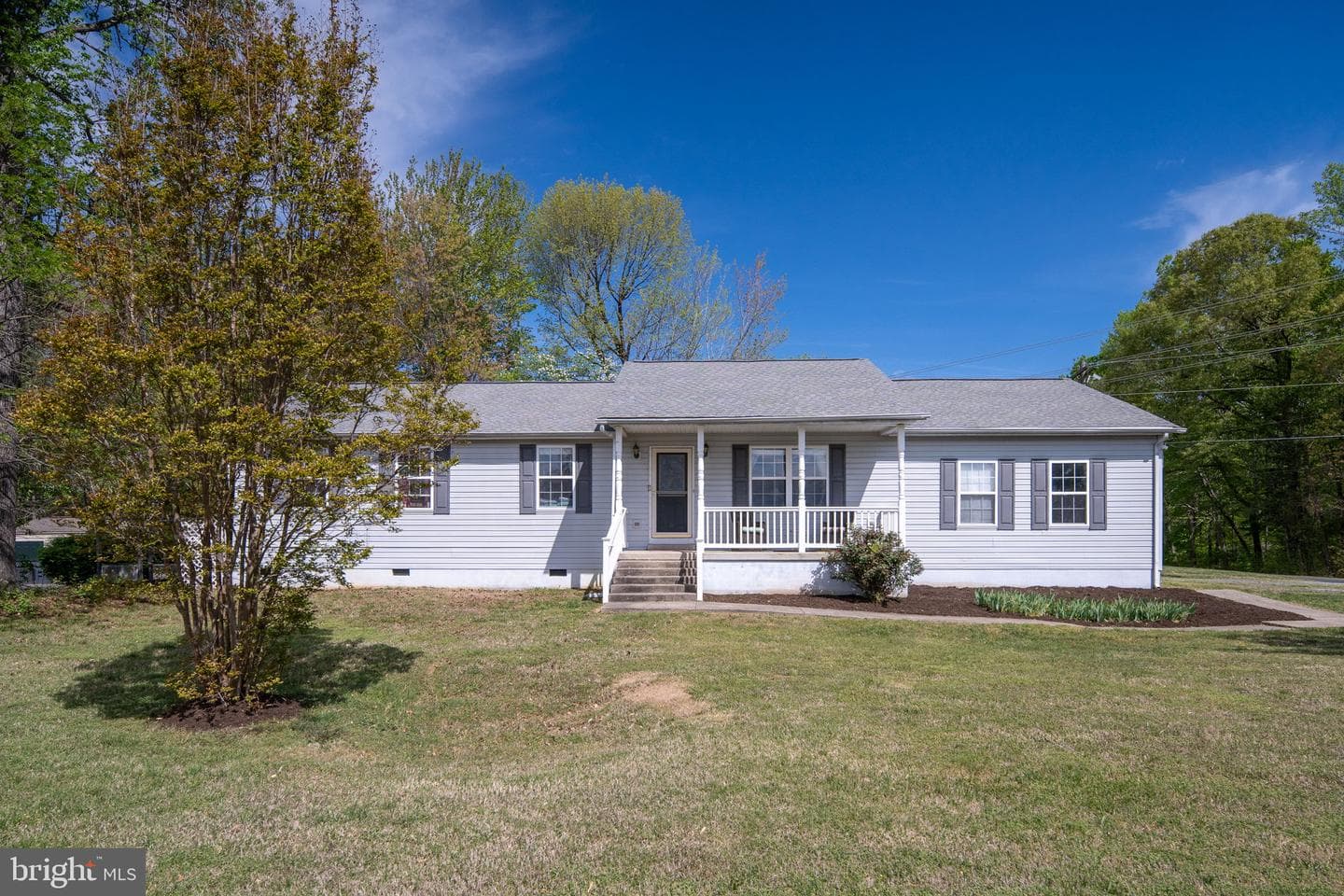8606 Stevenson Drive photo 5