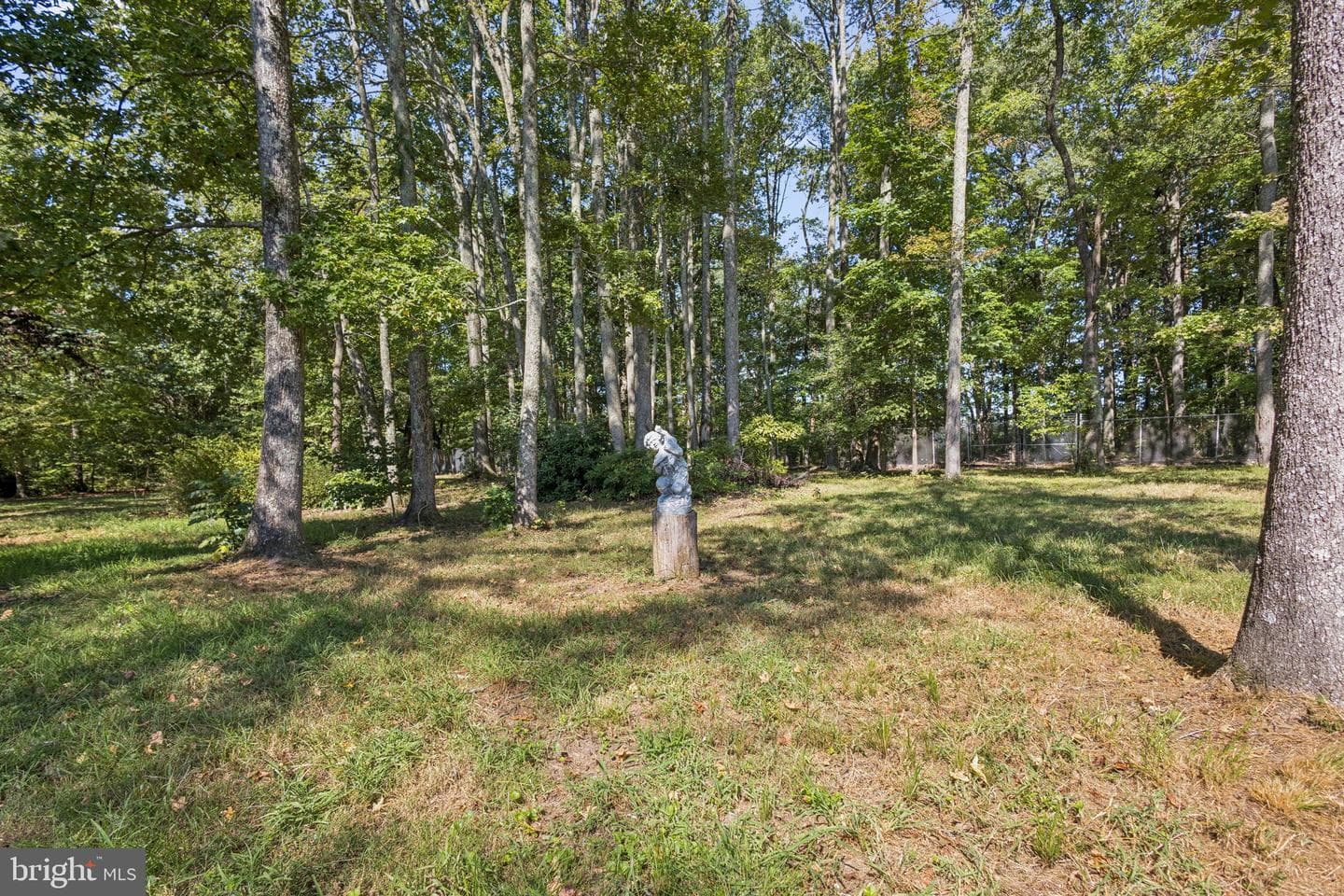 8612 Sandy Beach Lane photo 62