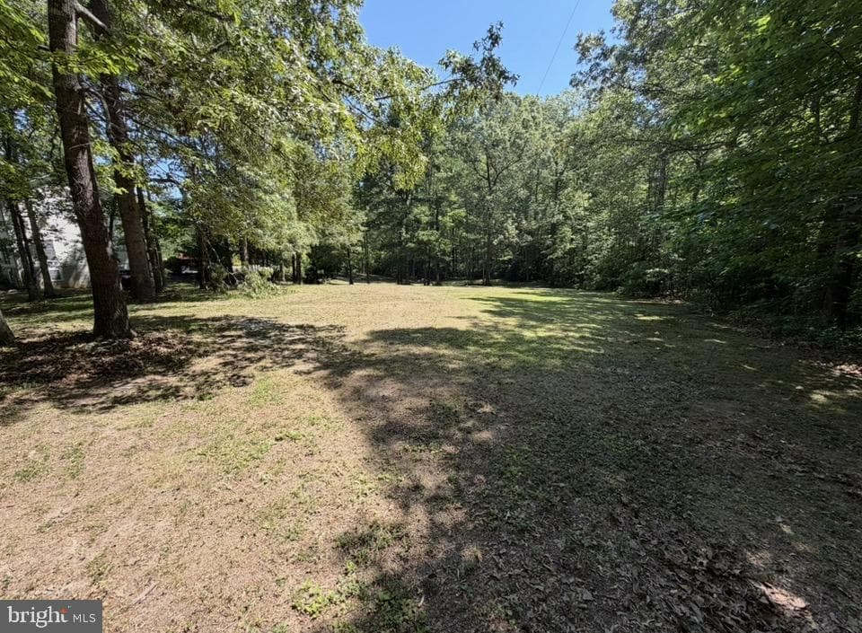12002 Pleasant Drive photo 15