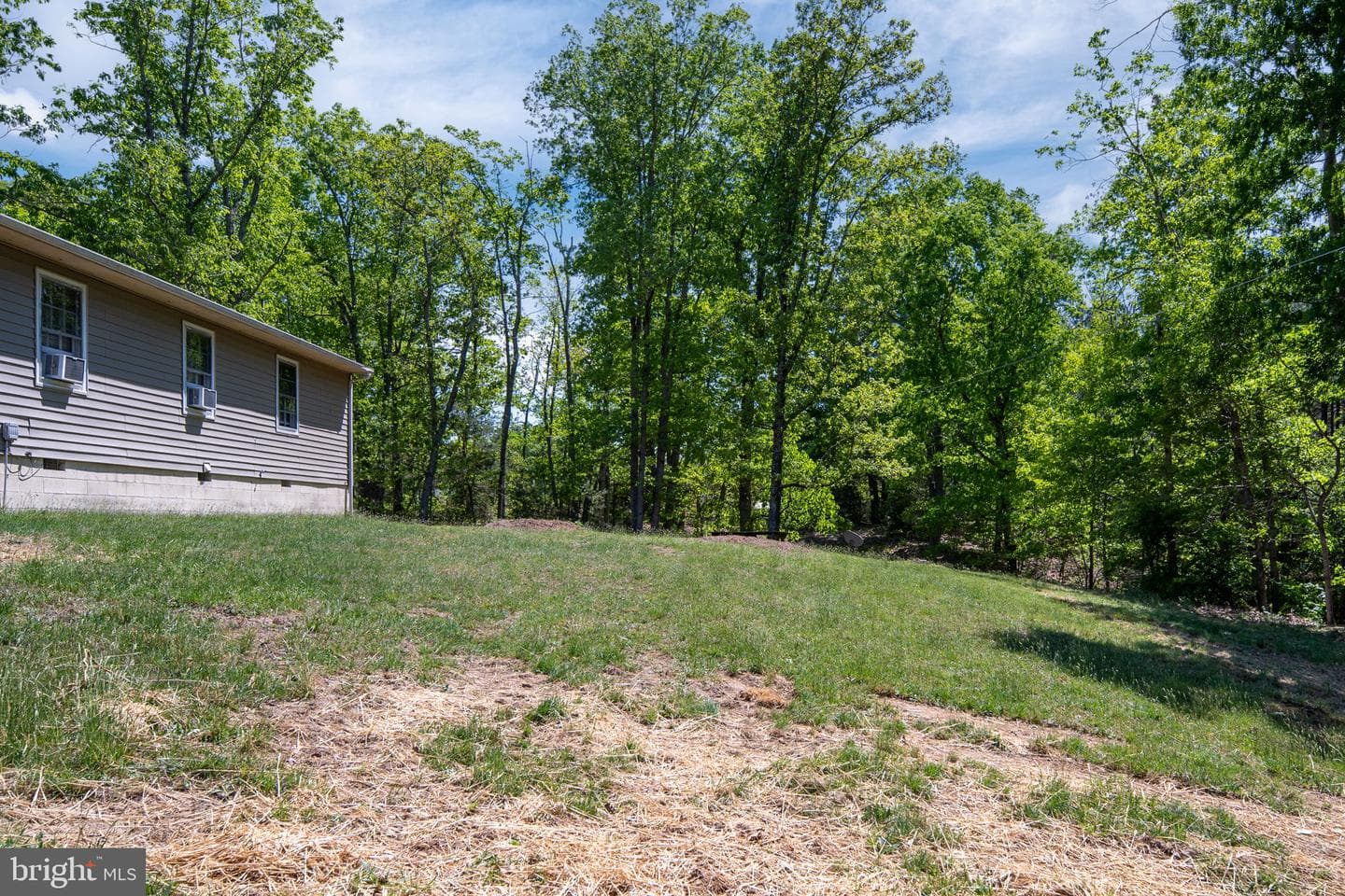 14208 Springfield Lane photo 36