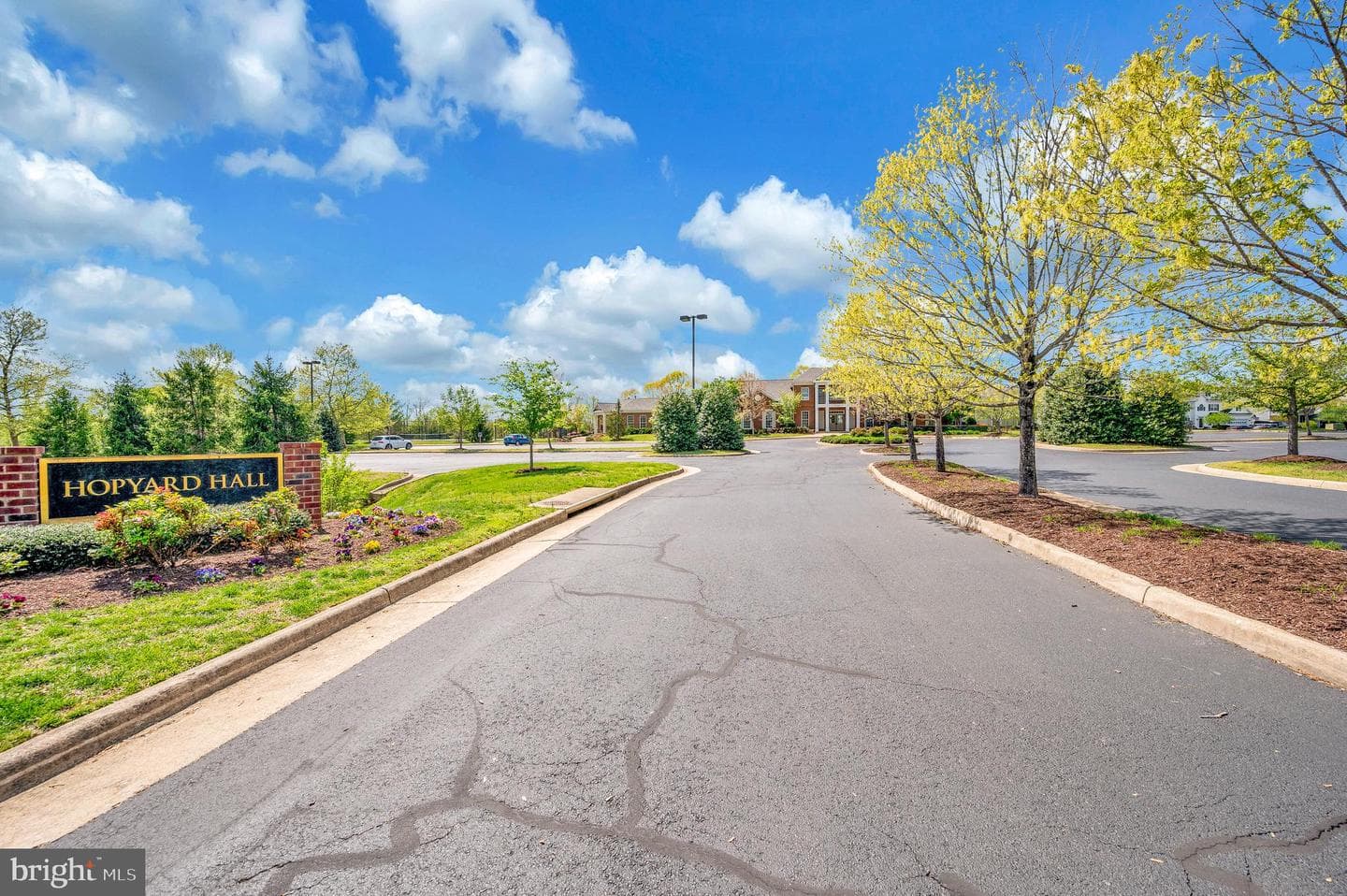 6504 Hawkeye Drive photo 63