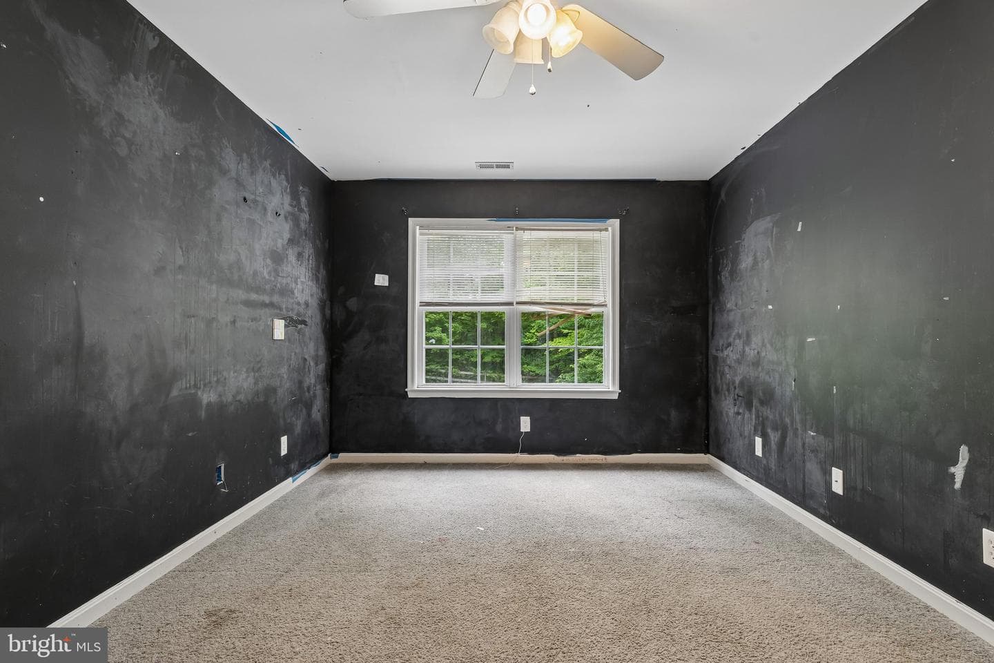 6286 Dawes Drive photo 16