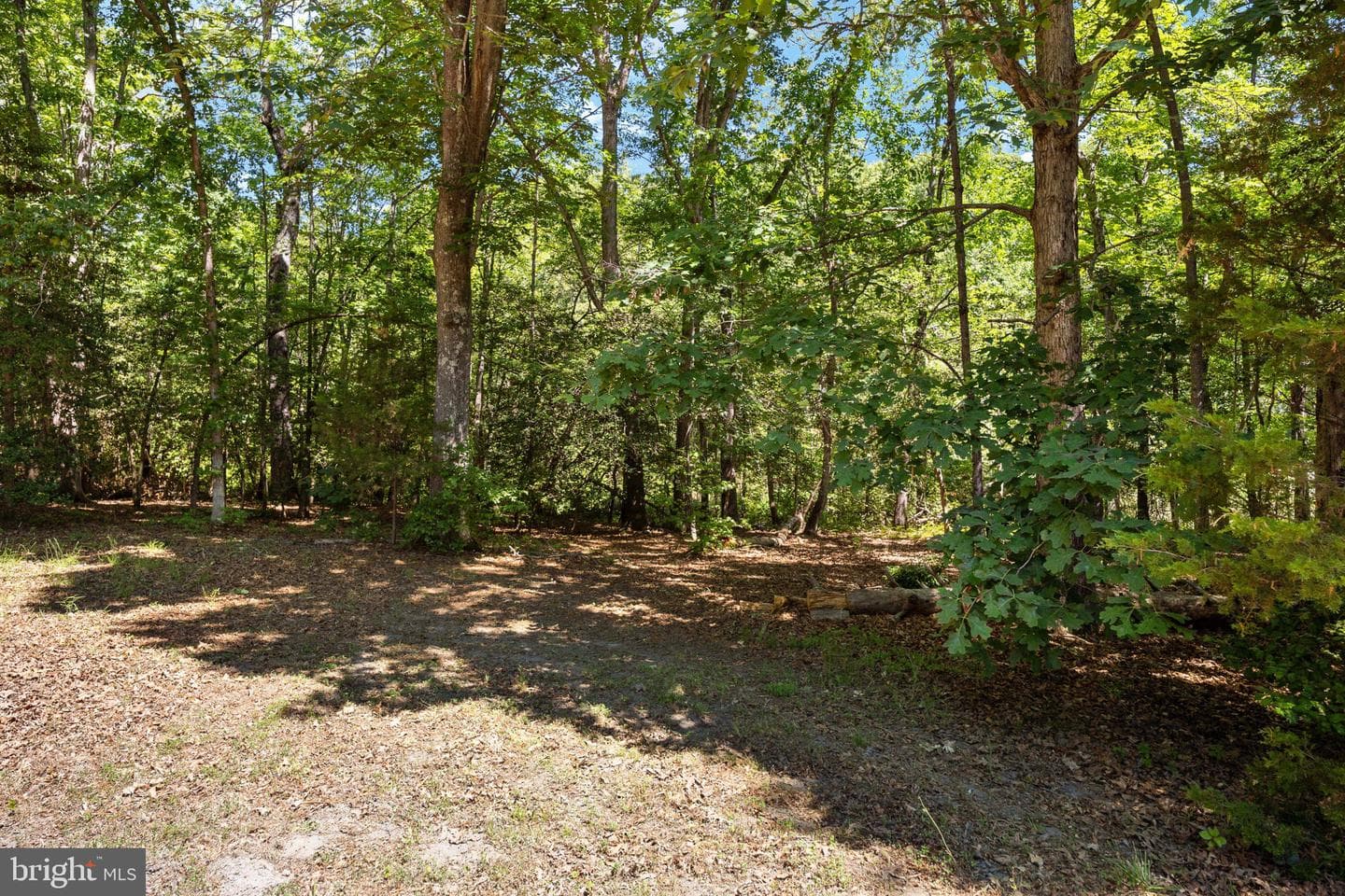 2381 Nancy Lane photo 95