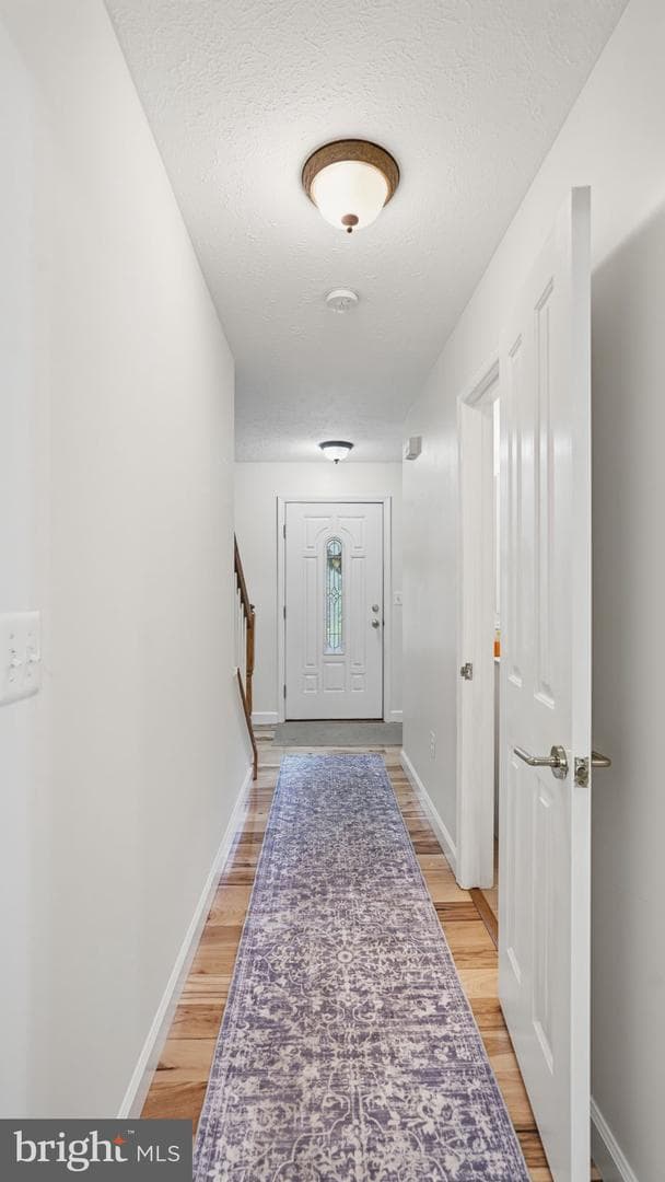 9295 Ivy Hill Loop photo 17