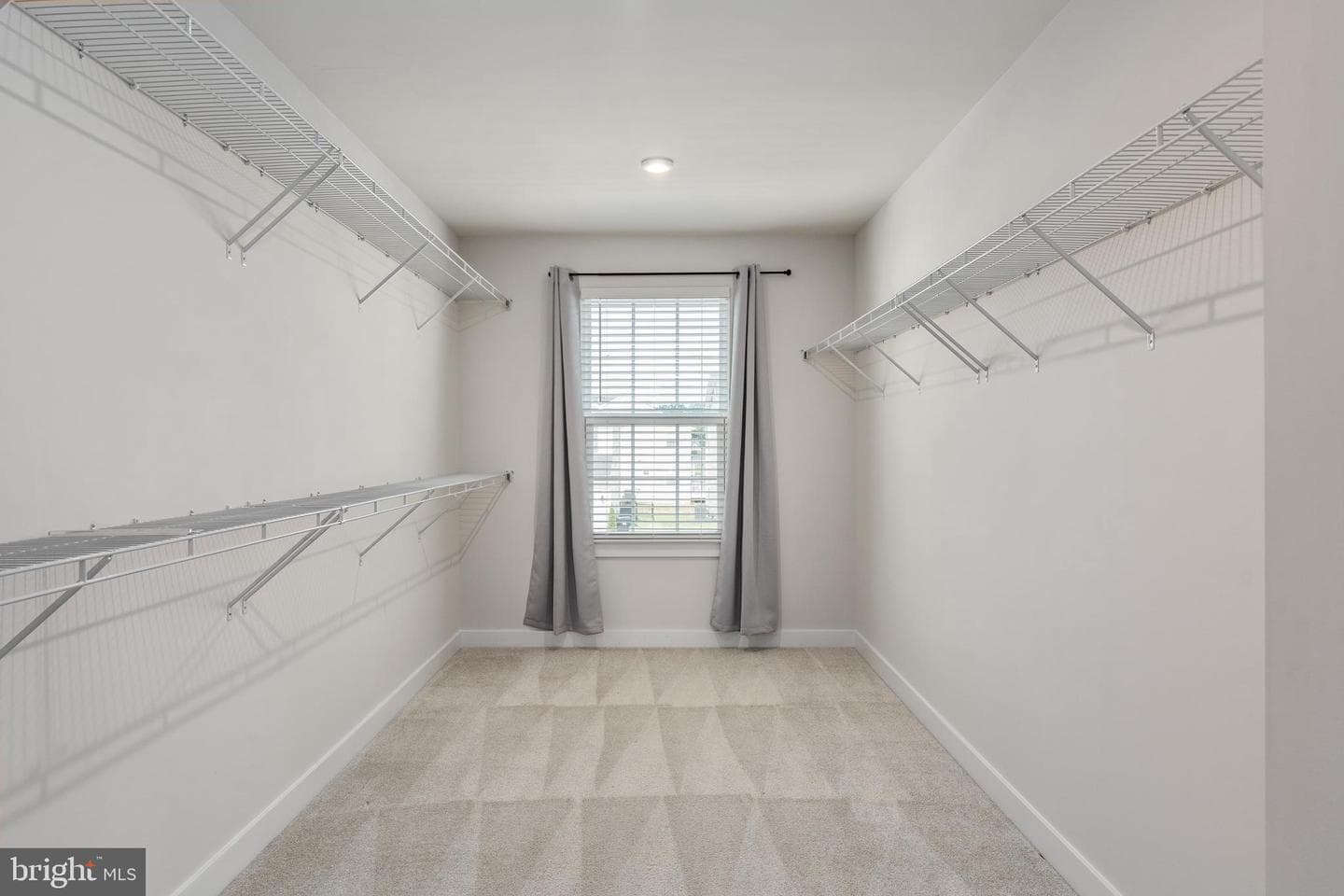 12079 Angora Drive photo 47