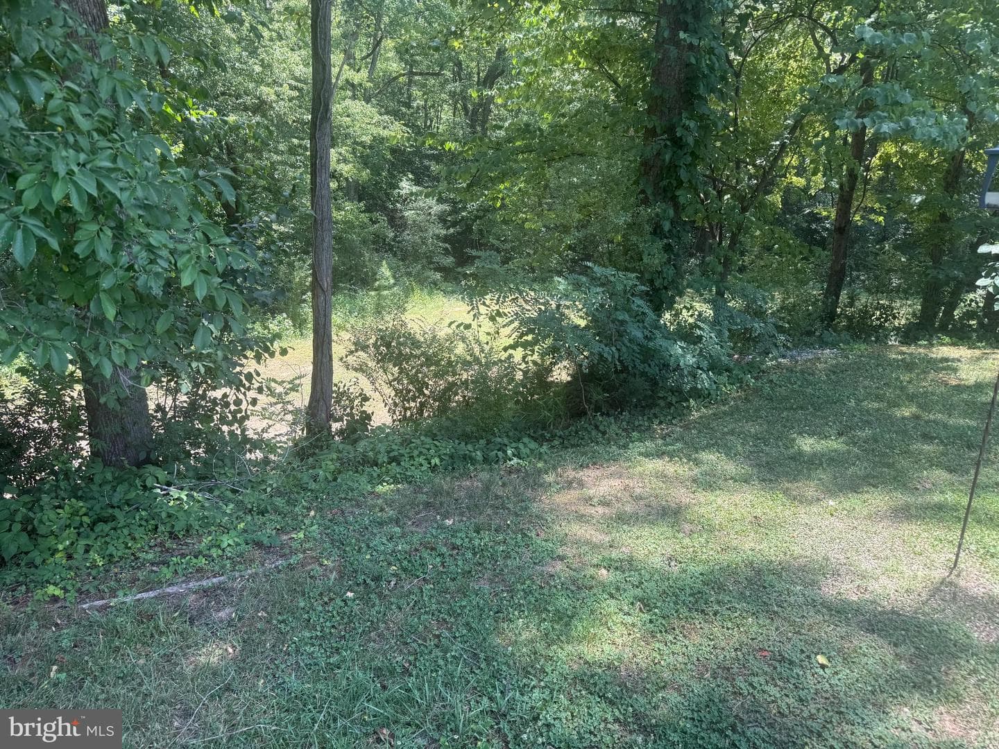 10143 Indiantown Road photo 13
