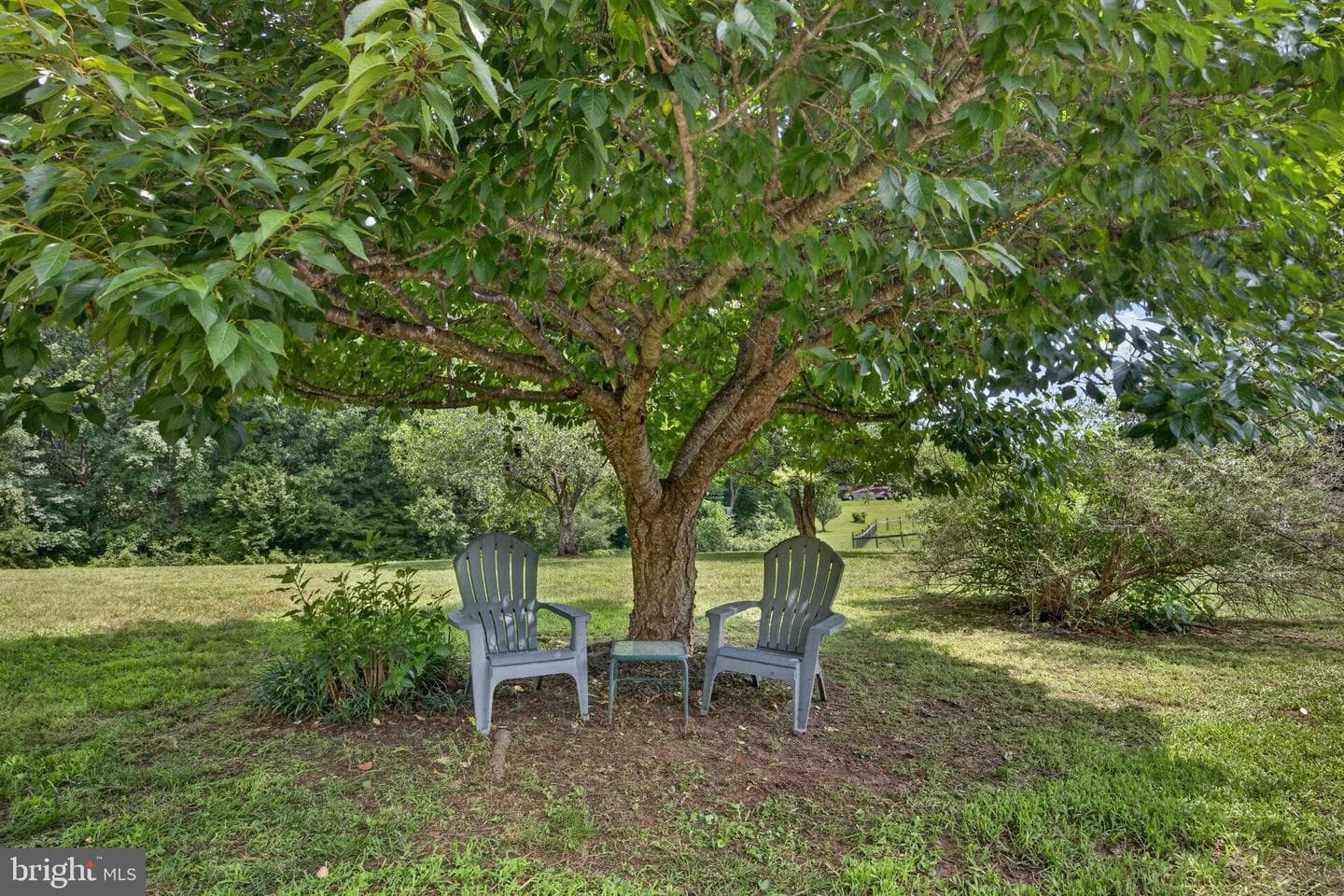 11004 Laforce Lane photo 91