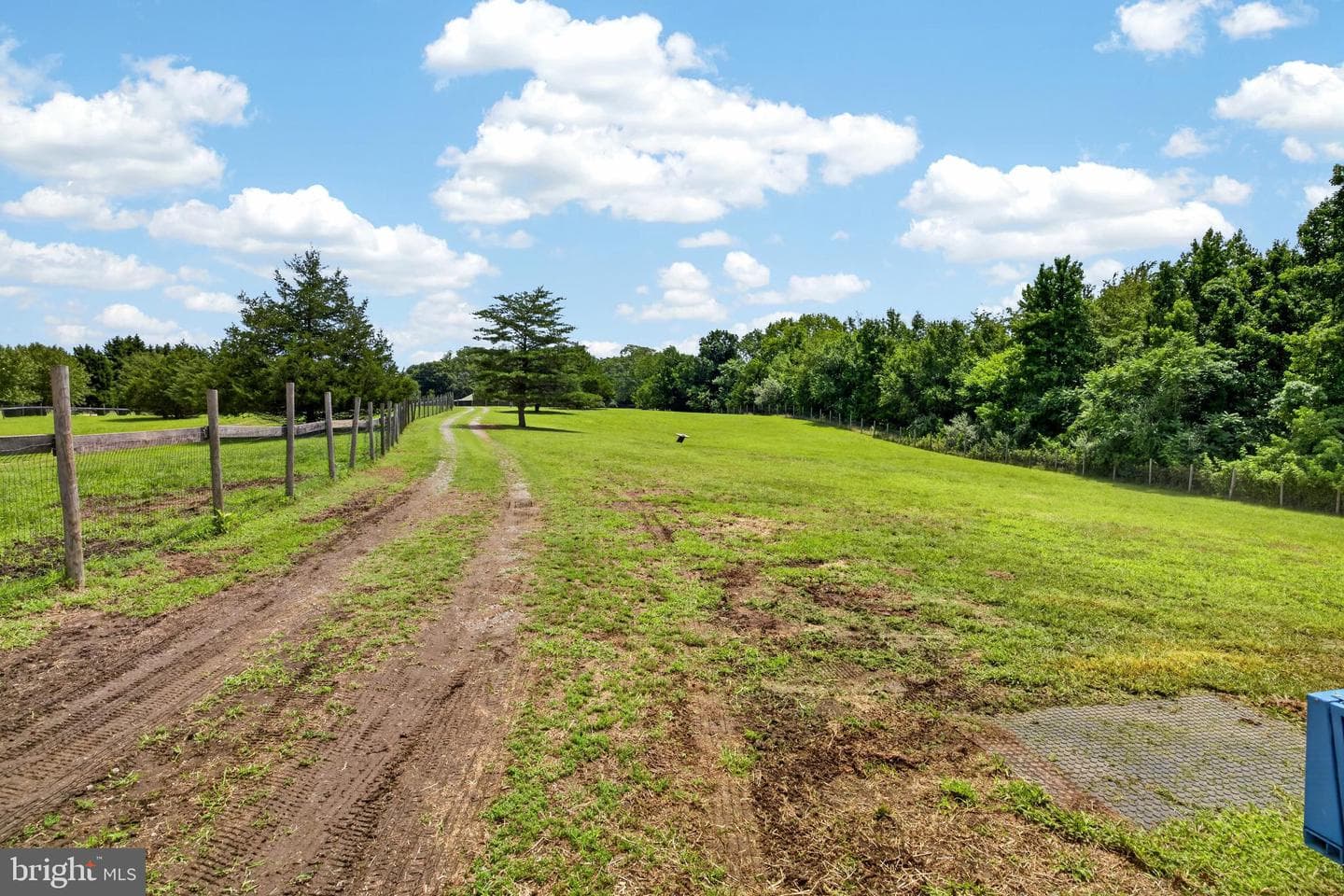 11004 Laforce Lane photo 98