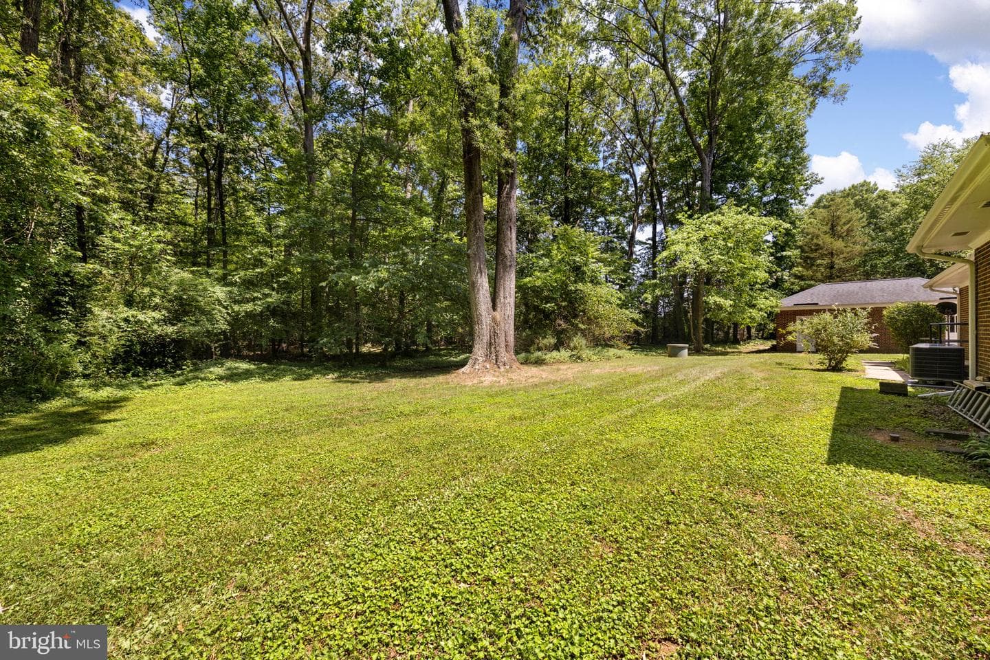 1517 Kings Highway photo 9