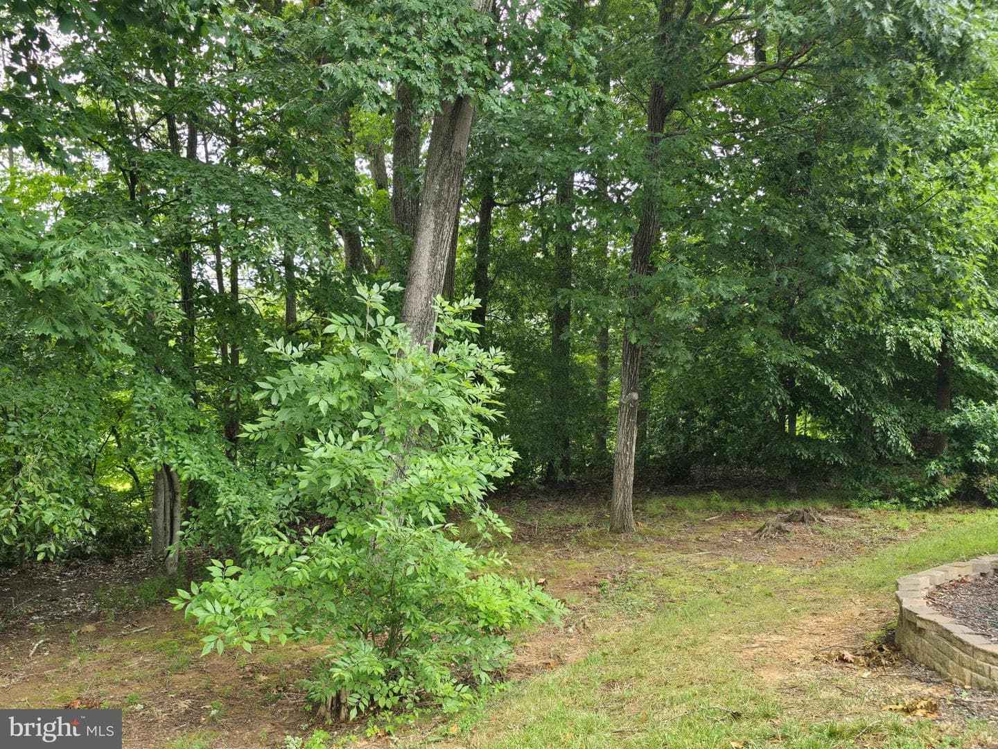 6245 Hawser Drive photo 85