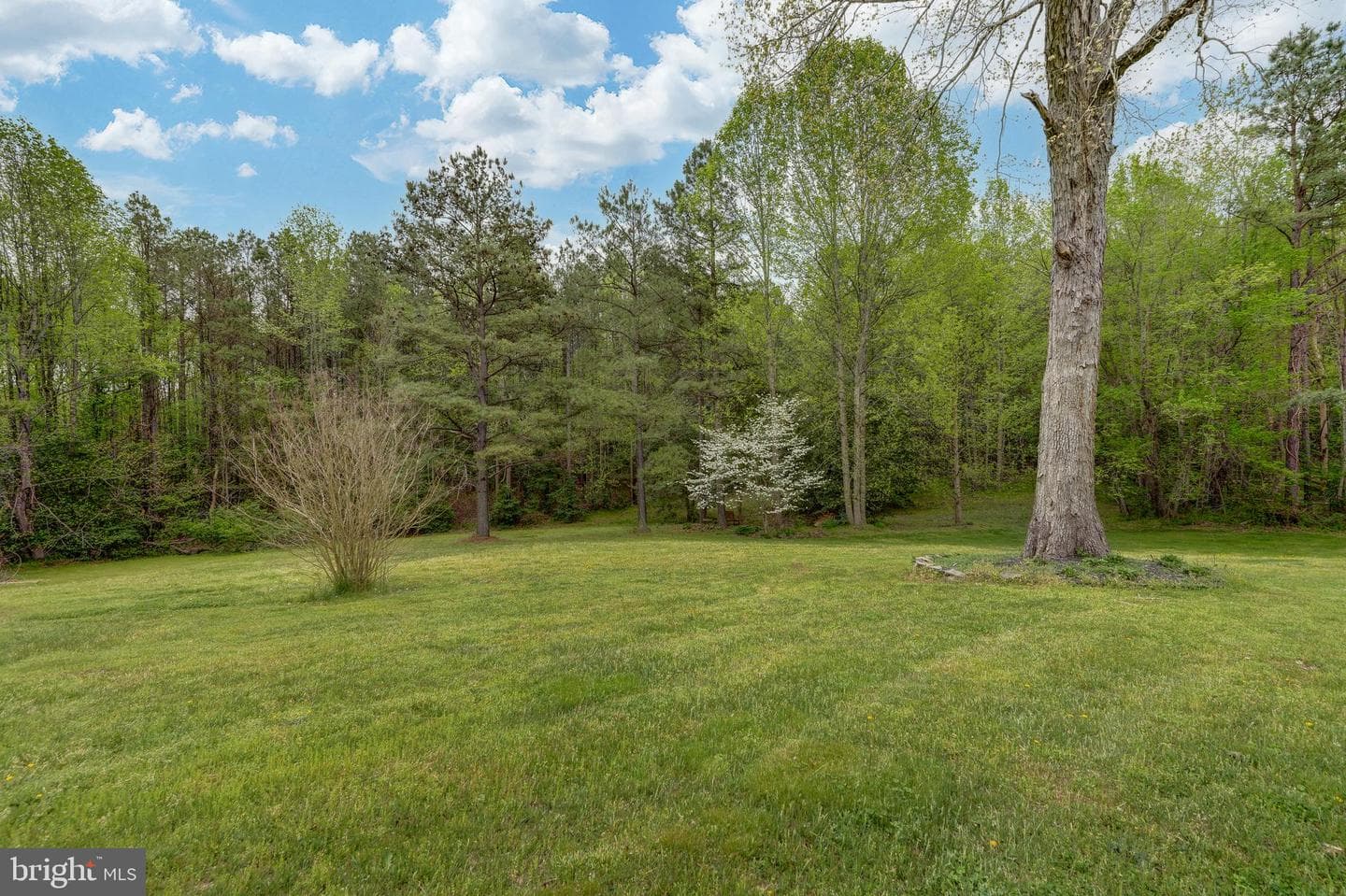2066 Byrds Mill Road photo 55